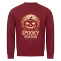 Spooky Season – Evil Pumpkin - Premium Organic Sweatshirt | Sweatshirt | Dark Shadows Arts